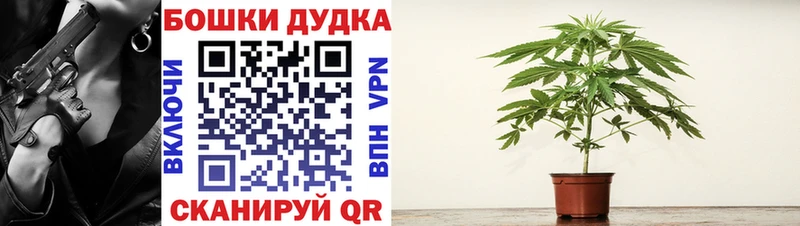 Бошки Шишки Bruce Banner  Купить закладки  Сясьстрой 